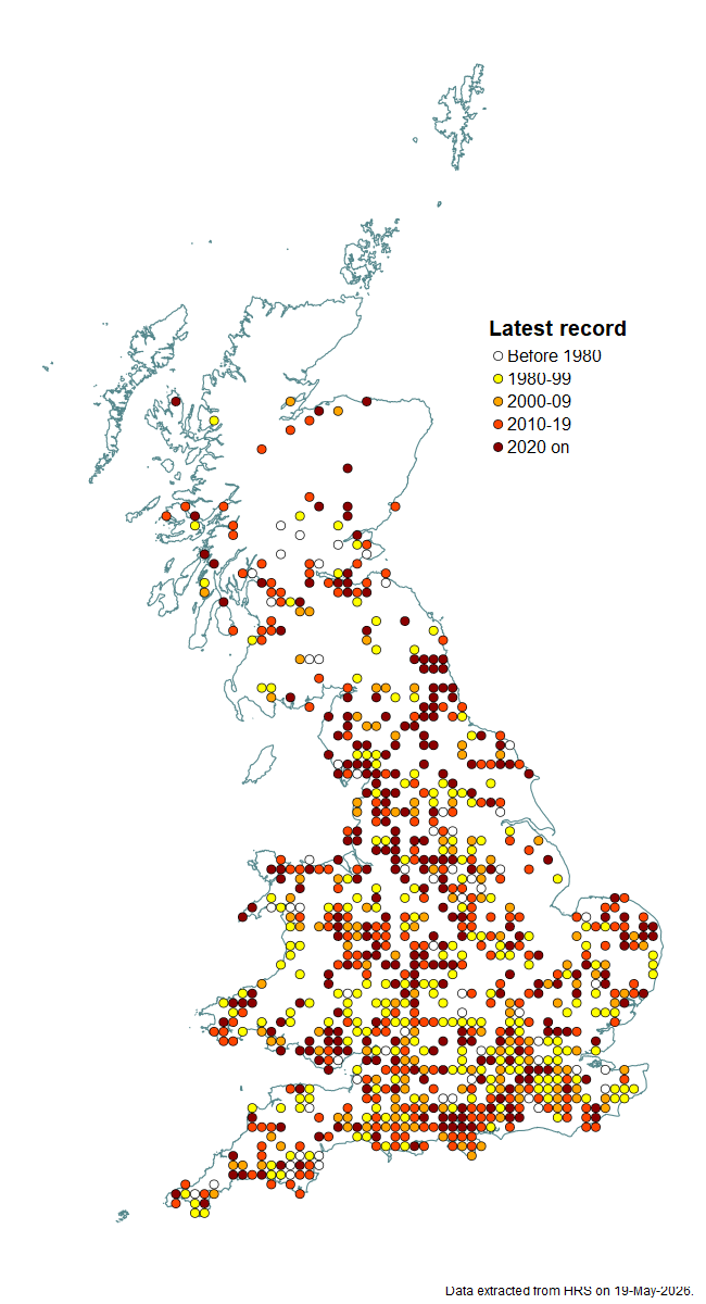 Distribution map for Criorhina berberina