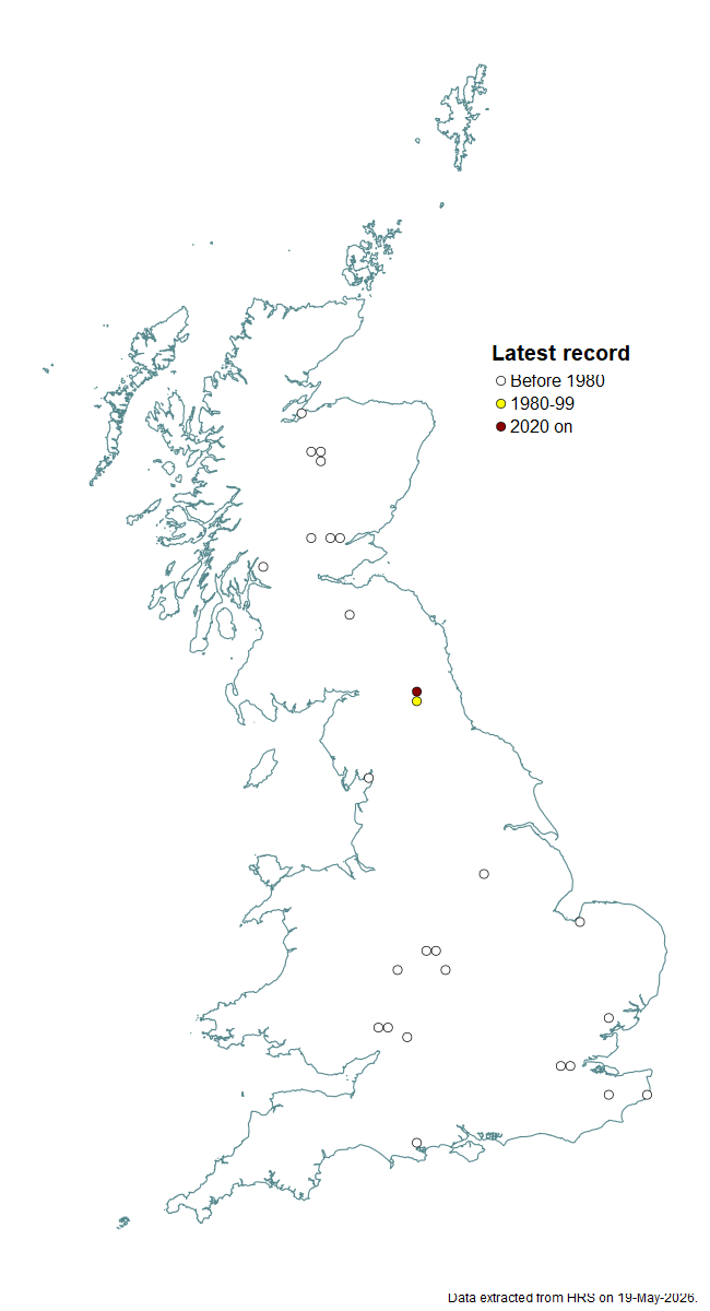 Distribution map for Didea alneti