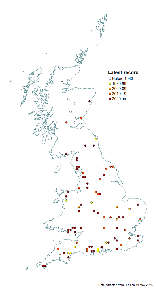 Distribution map for Eupeodes lapponicus