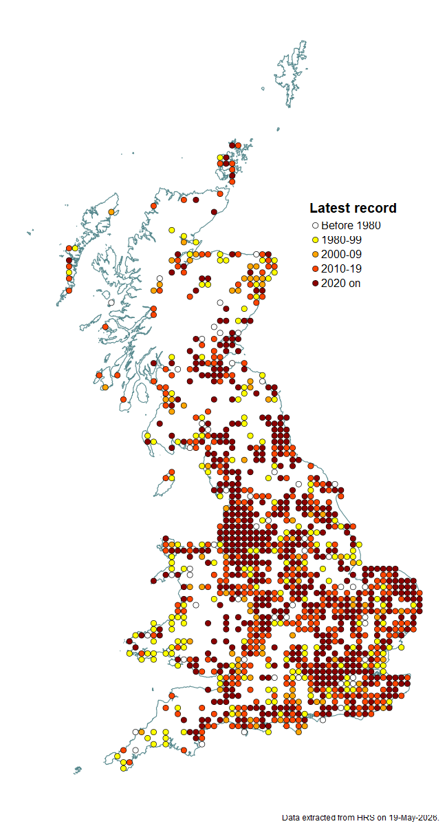 Distribution map for Helophilus hybridus