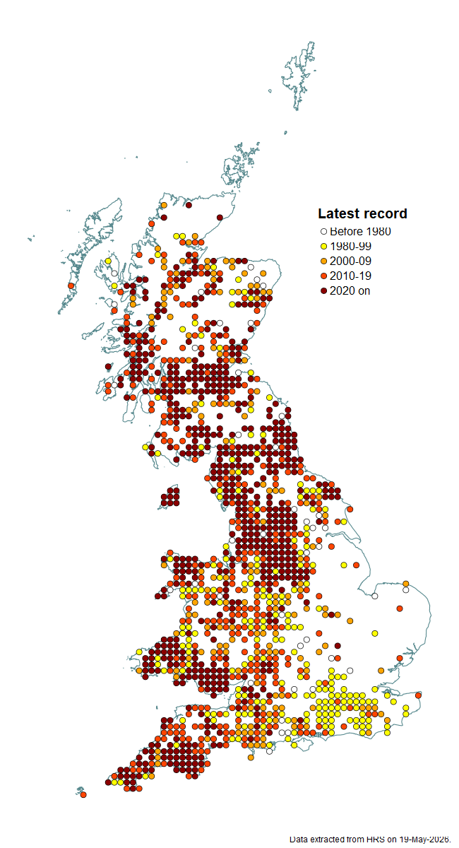 Distribution map for Leucozona glaucia