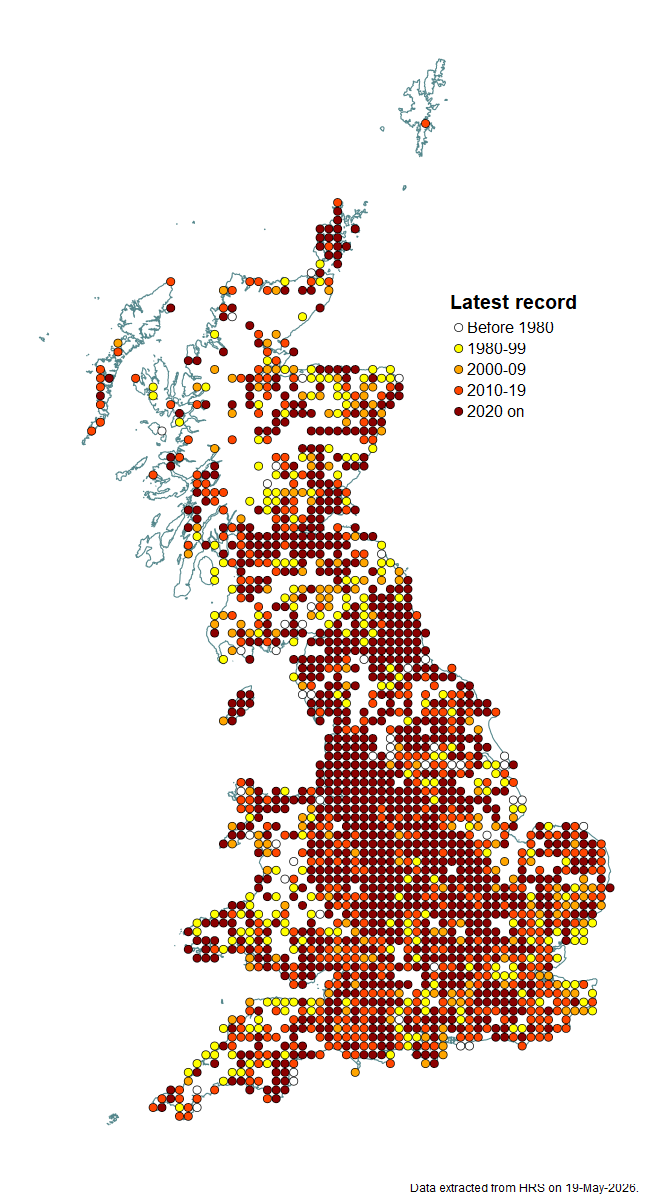 Distribution map for Leucozona lucorum
