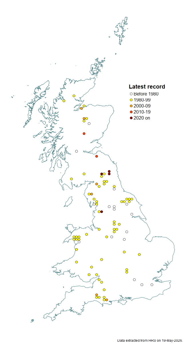 Distribution map for Megasyrphus erraticus