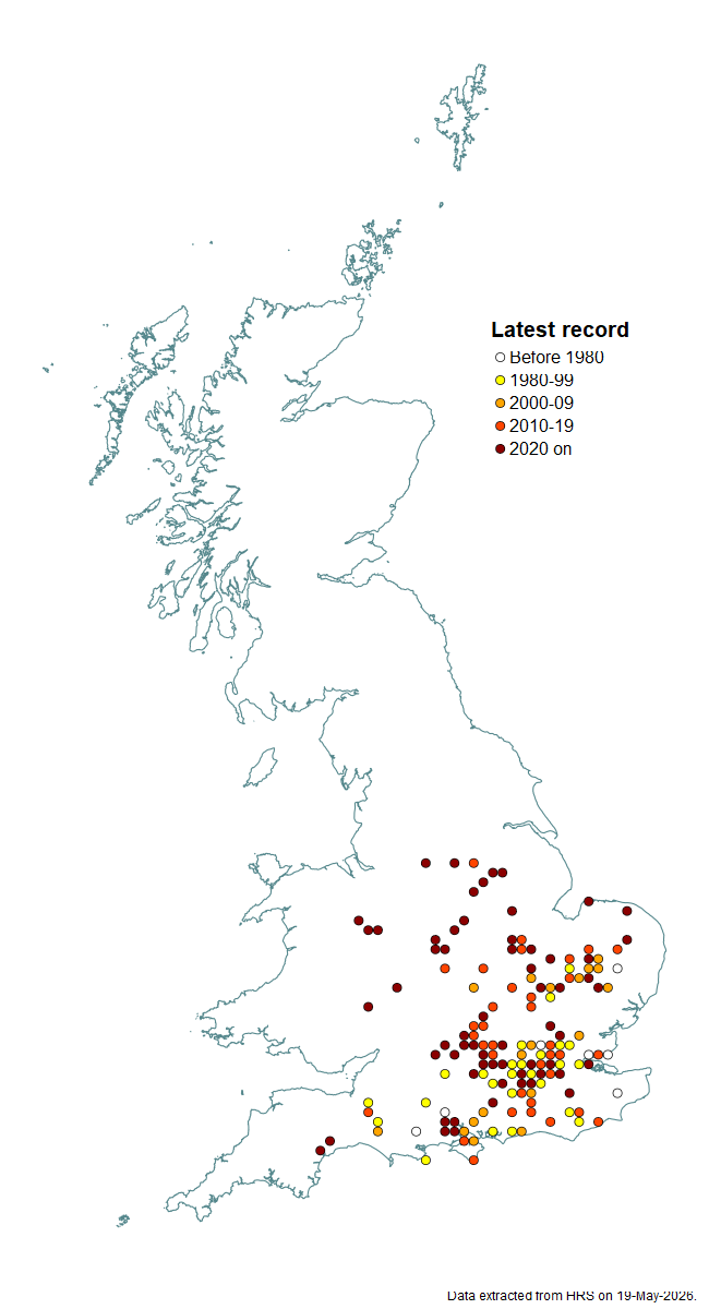 Distribution map for Myolepta dubia