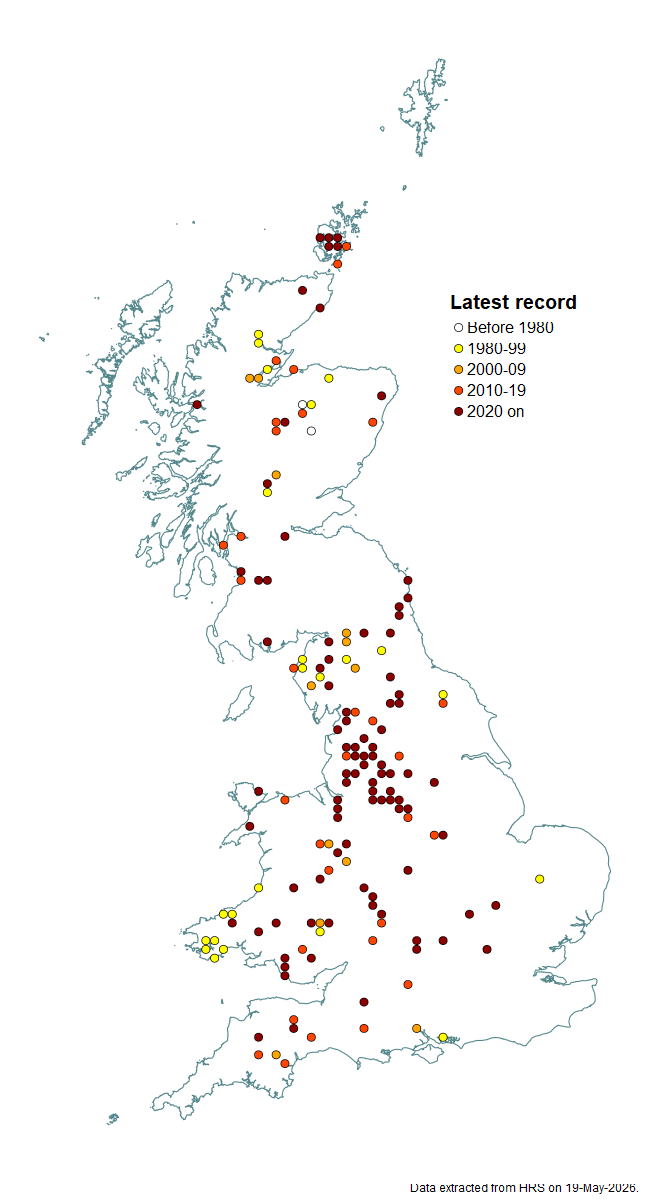 Distribution map for Parasyrphus nigritarsis