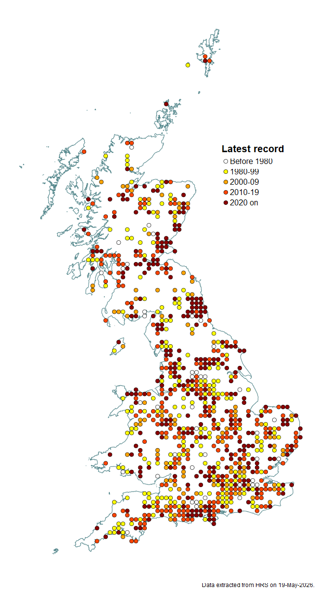 Distribution map for Parasyrphus punctulatus