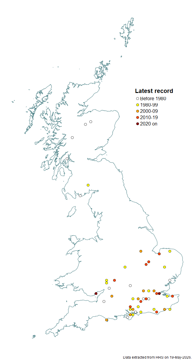 Distribution map for Pipizella maculipennis