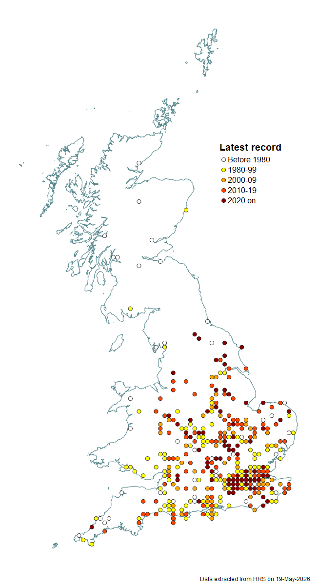 Distribution map for Pipizella virens