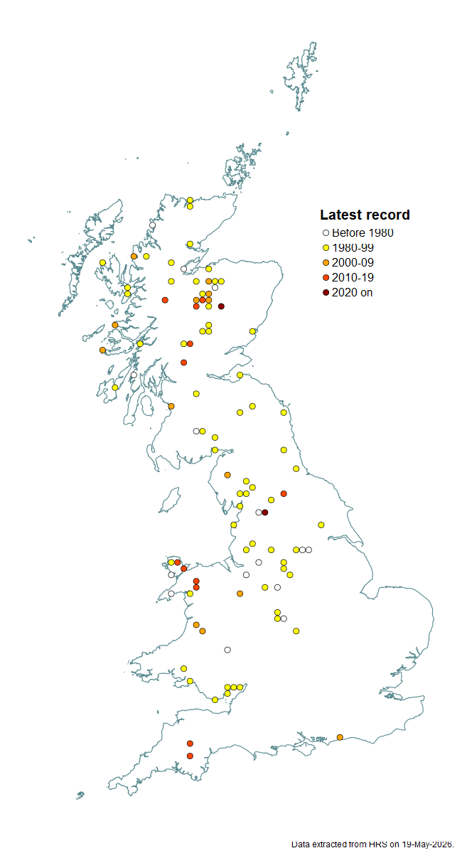 Distribution map for Platycheirus perpallidus
