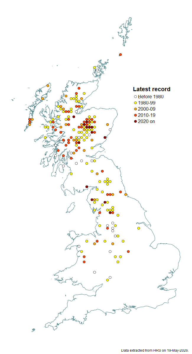 Distribution map for Platycheirus podagratus