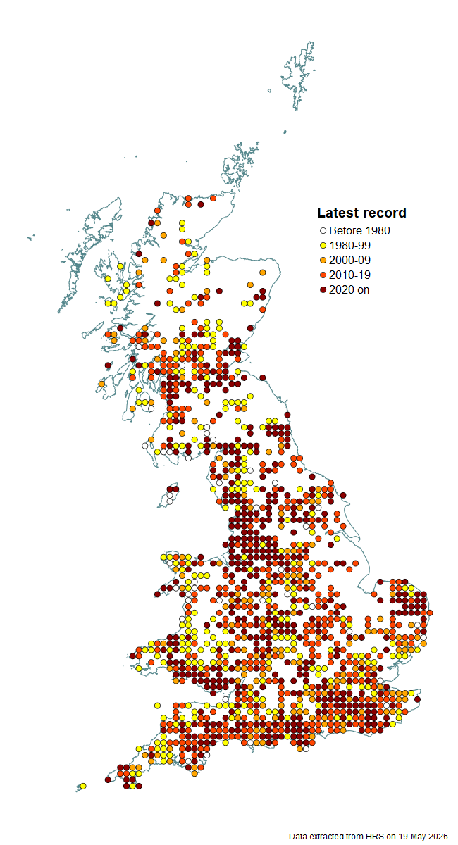 Distribution map for Platycheirus rosarum