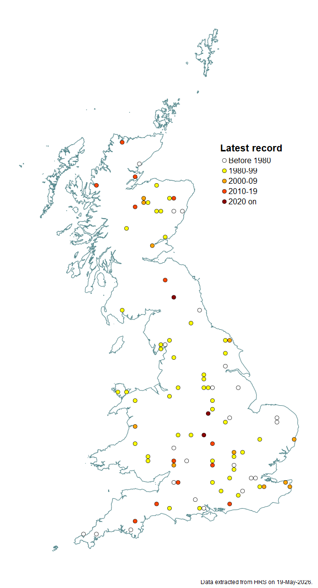 Distribution map for Platycheirus sticticus