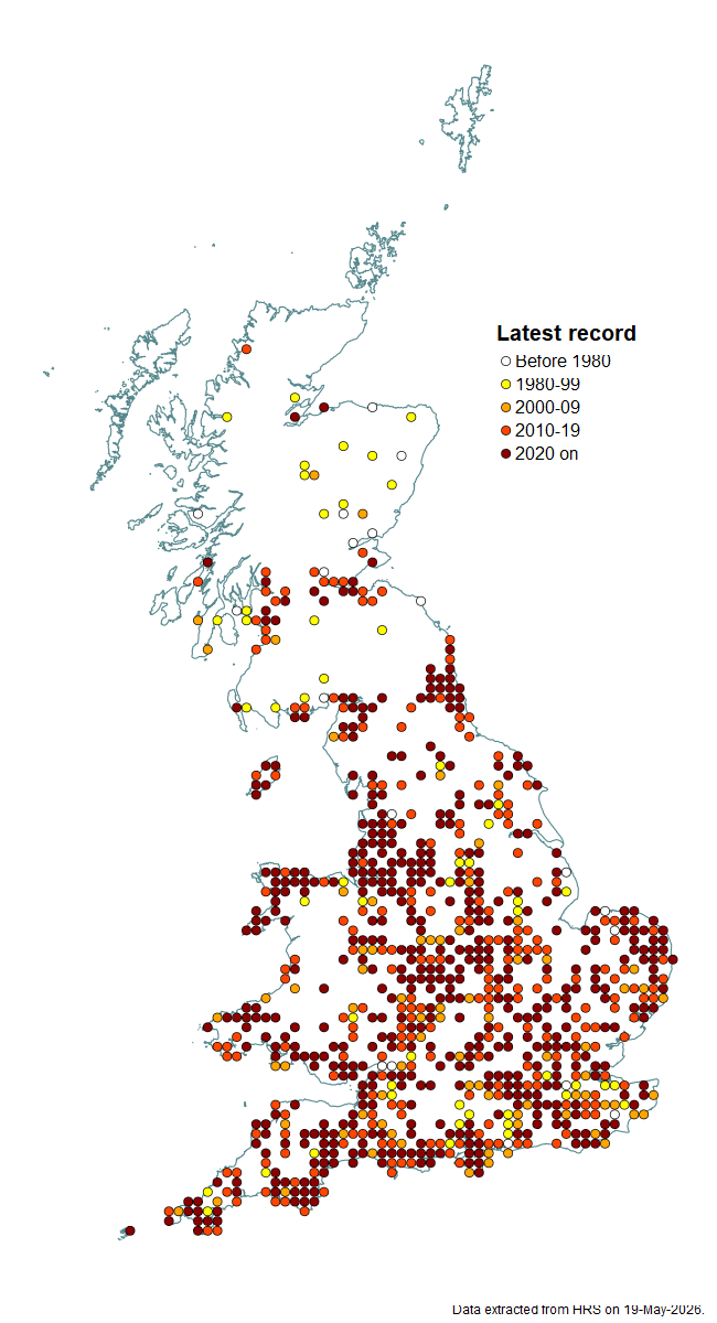 Distribution map for Riponnensia splendens