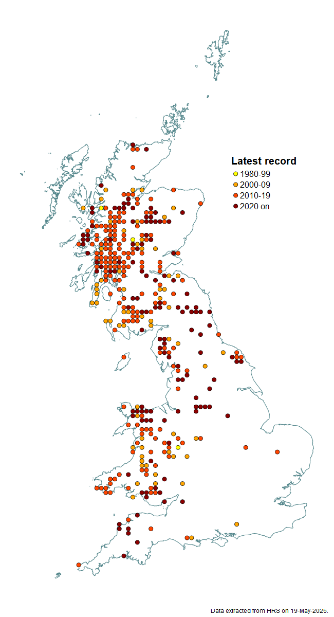 Distribution map for Sphegina sibirica
