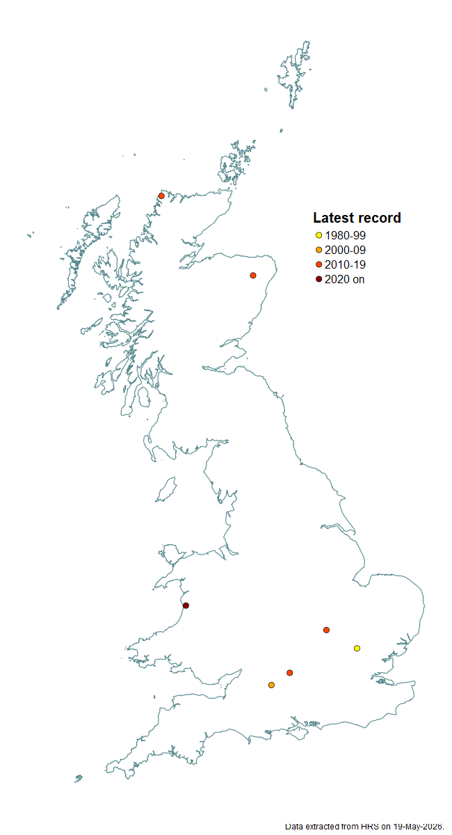 Distribution map for Syrphus rectus