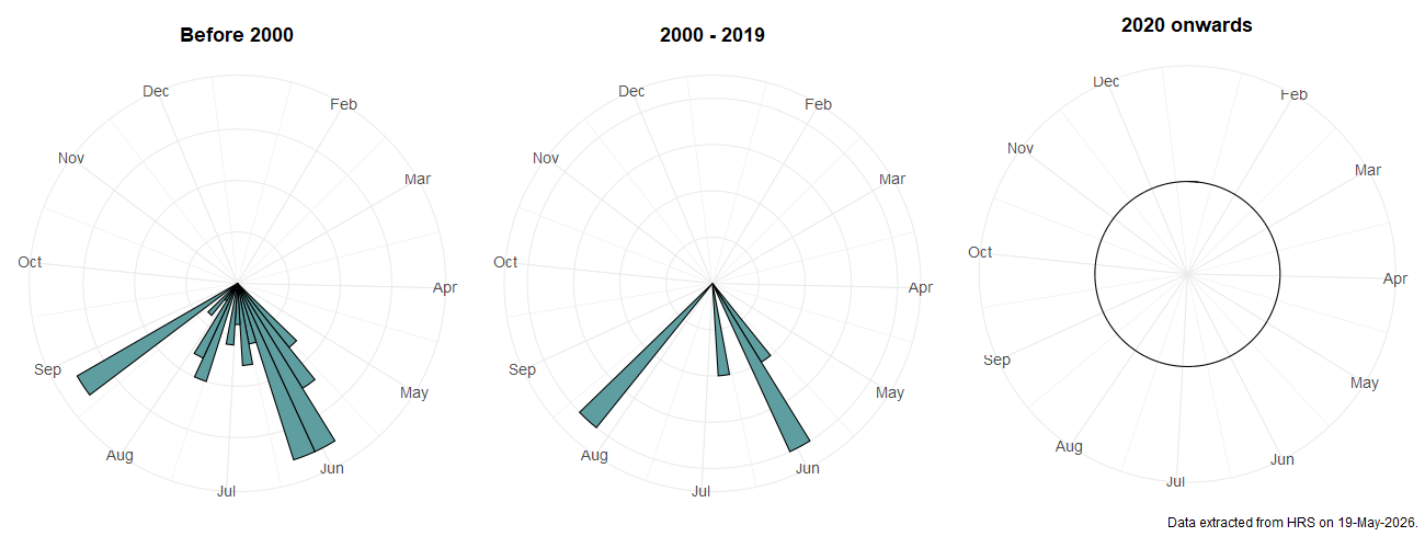 Phenology plots for Chrysotoxum octomaculatum