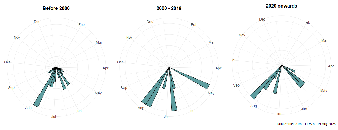 Phenology plots for Megasyrphus erraticus