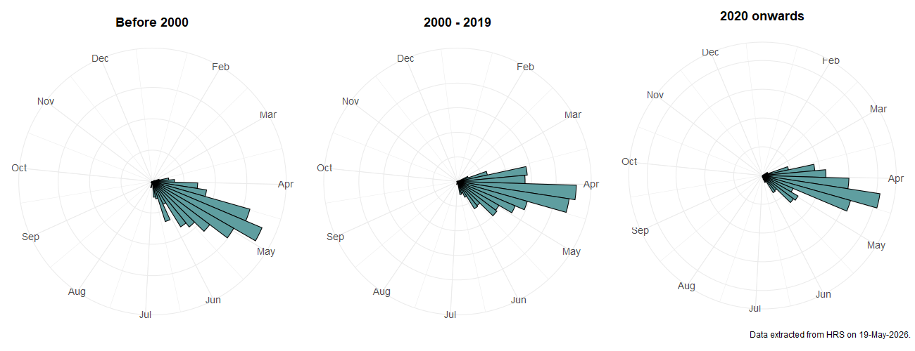 Phenology plots for Parasyrphus punctulatus