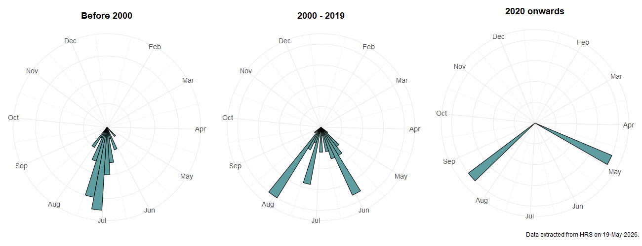 Phenology plots for Pipizella maculipennis