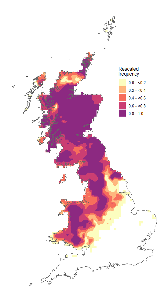 Chrysotoxum_arcuatum_map