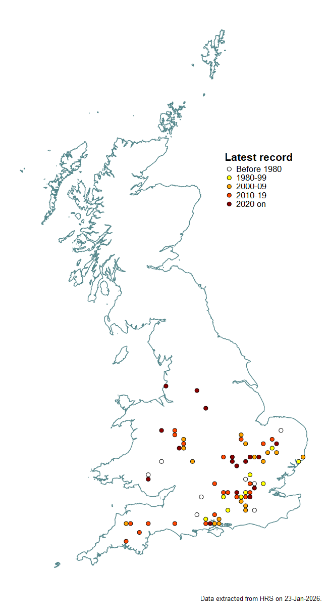 Distribution map for Brachyopa bicolor