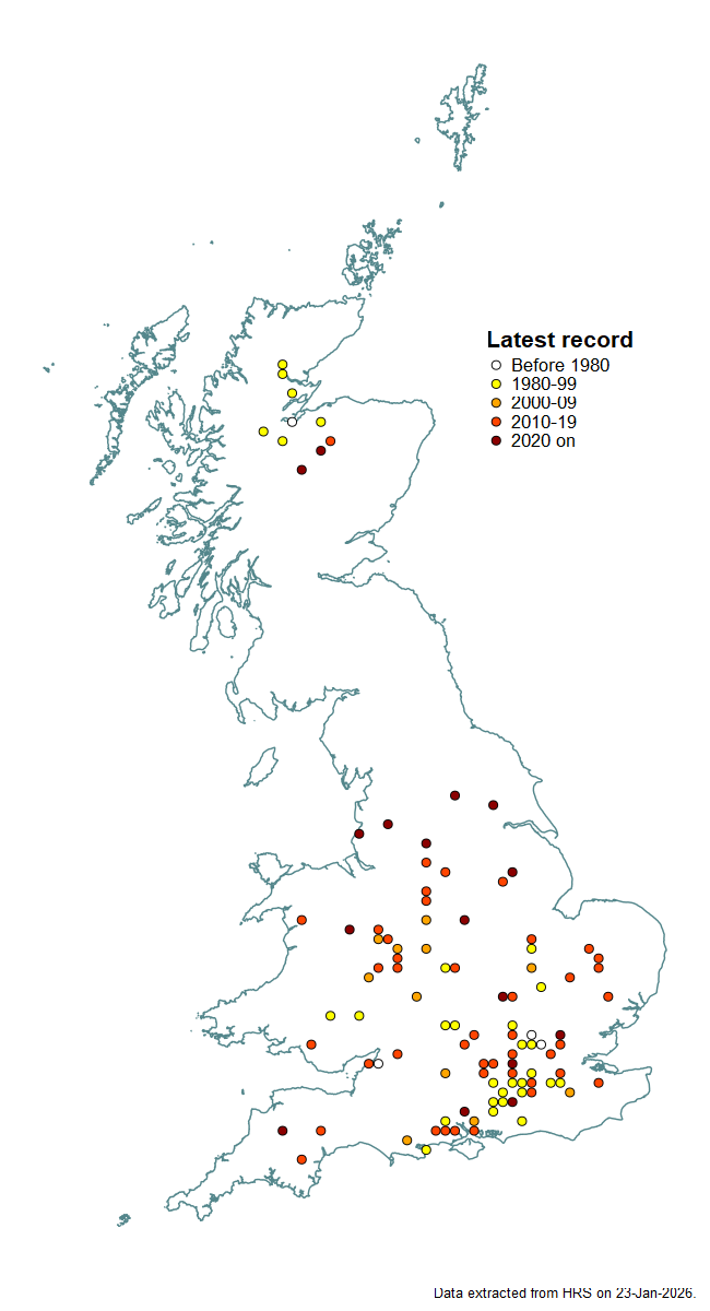 Distribution map for Brachyopa pilosa
