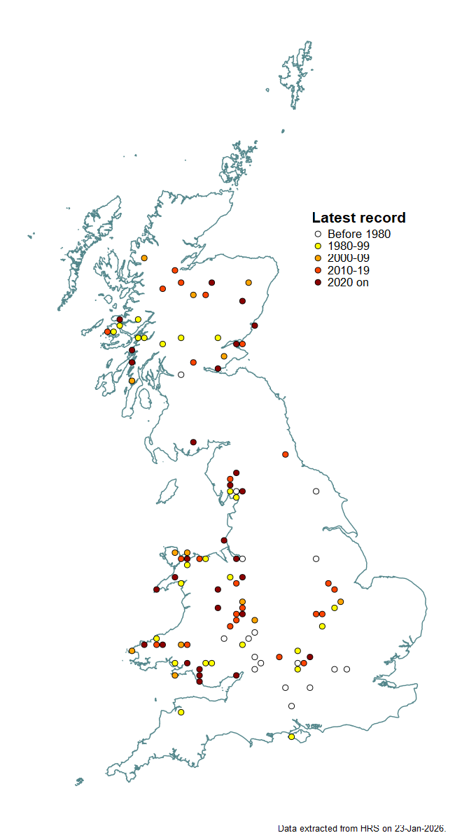 Distribution map for Cheilosia chrysocoma