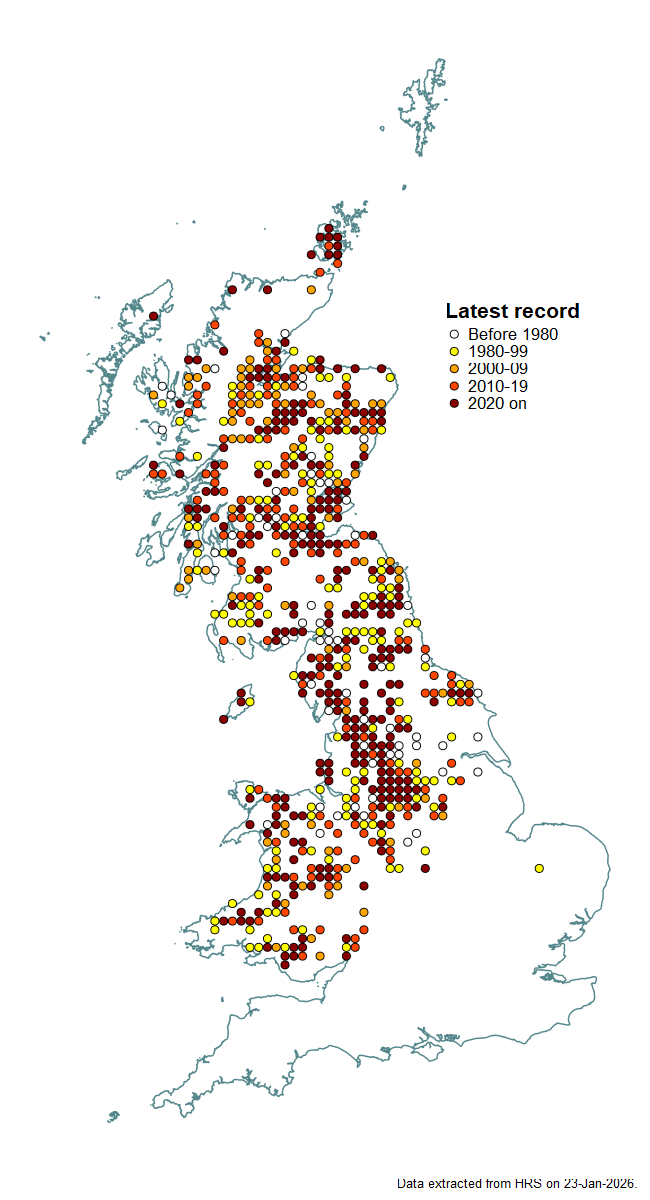 Distribution map for Chrysotoxum arcuatum