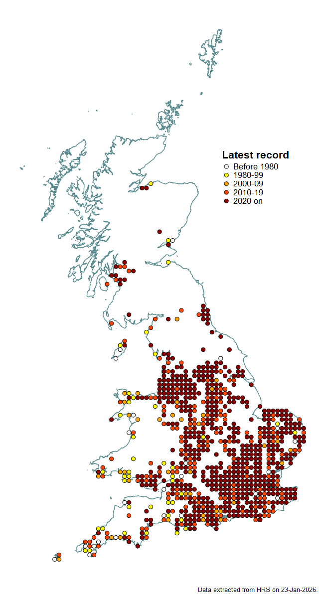 Distribution map for Chrysotoxum festivum
