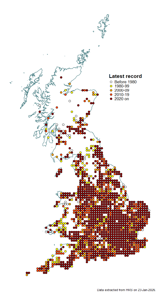 Distribution map for Epistrophe eligans