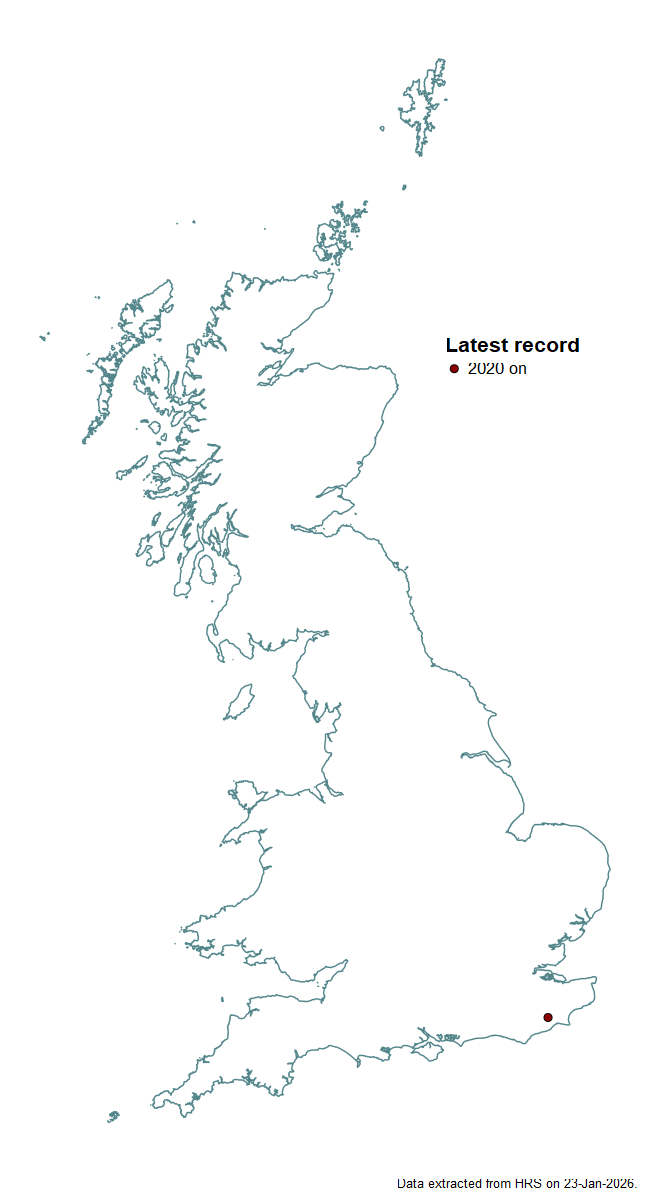 Distribution map for Eumerus amoenus