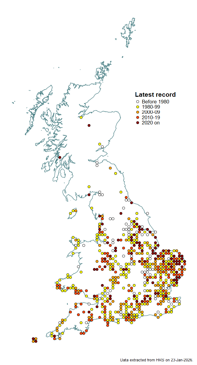 Distribution map for Eumerus strigatus