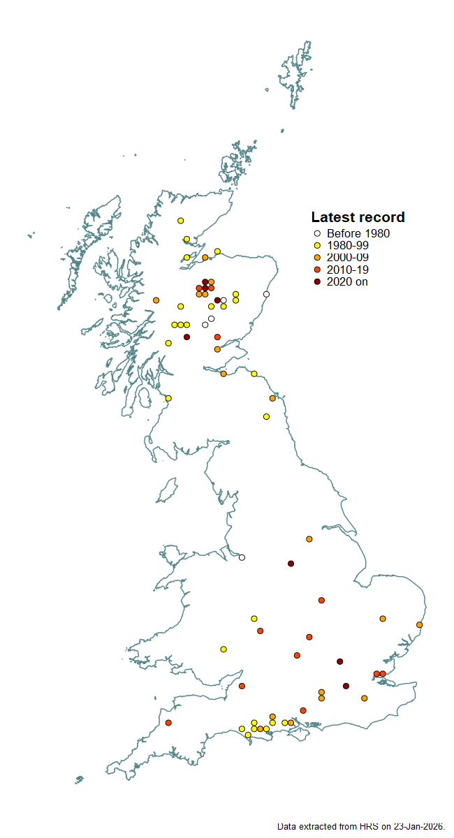 Distribution map for Eupeodes nielseni