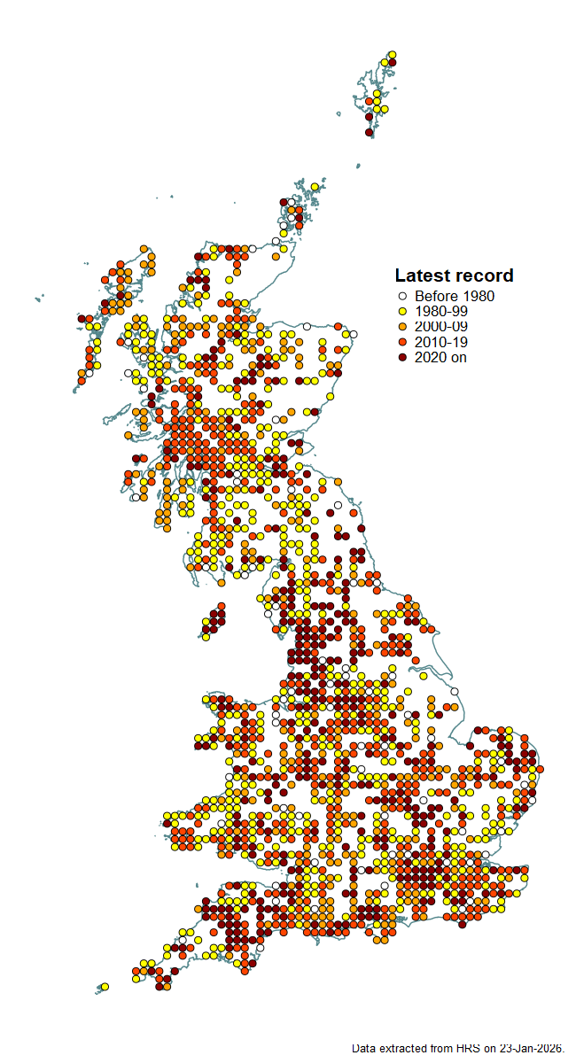 Distribution map for Melanogaster hirtella