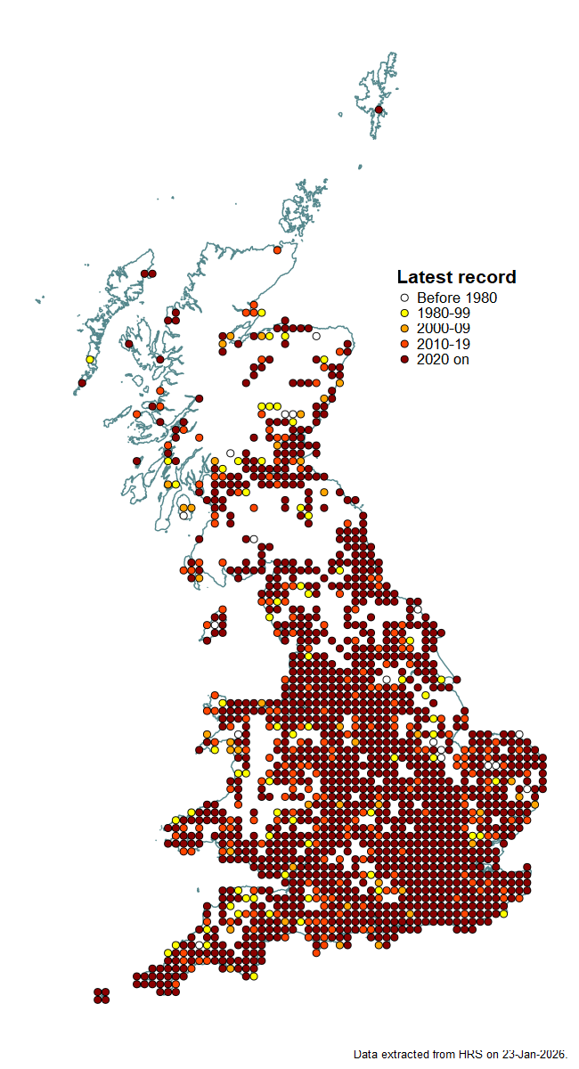 Distribution map for Merodon equestris