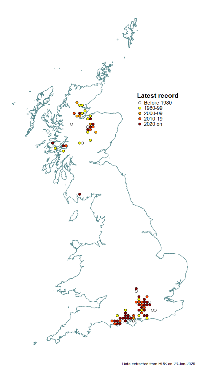 Distribution map for Microdon analis