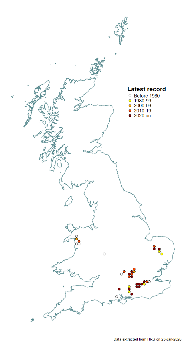 Distribution map for Microdon devius