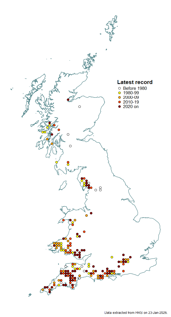 Distribution map for Microdon myrmicae