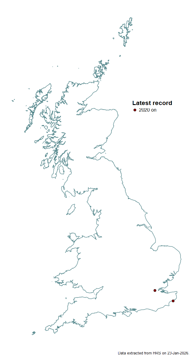 Distribution map for Paragus quadrifasciatus