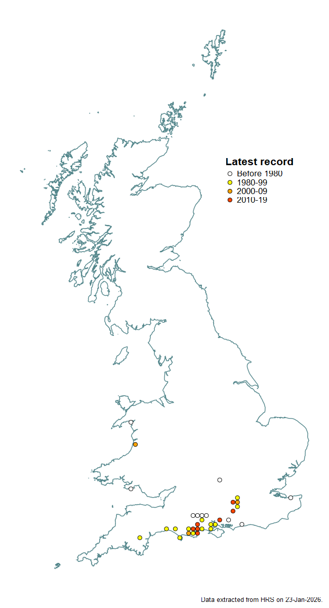 Distribution map for Paragus tibialis