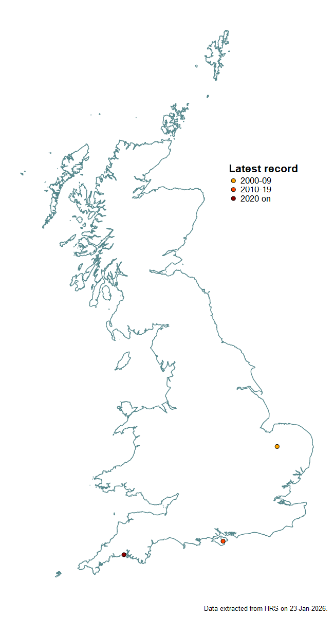 Distribution map for Scaeva dignota