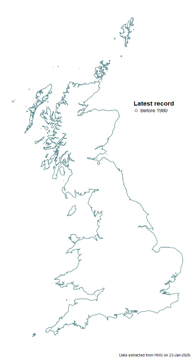 Distribution map for Scaeva mecogramma