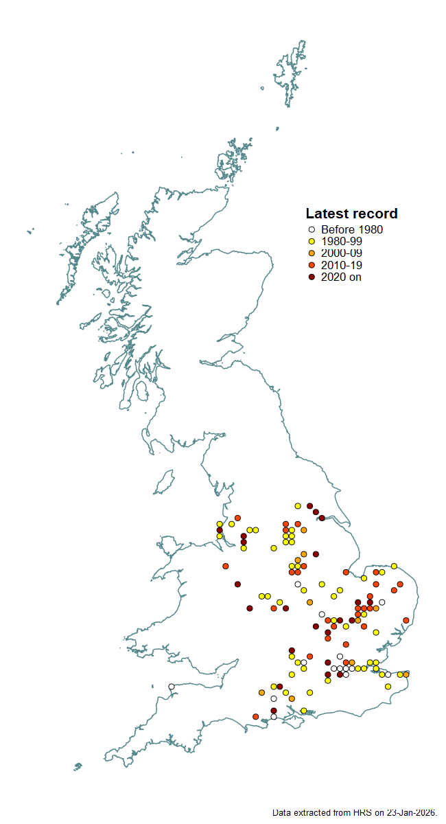 Distribution map for Triglyphus primus