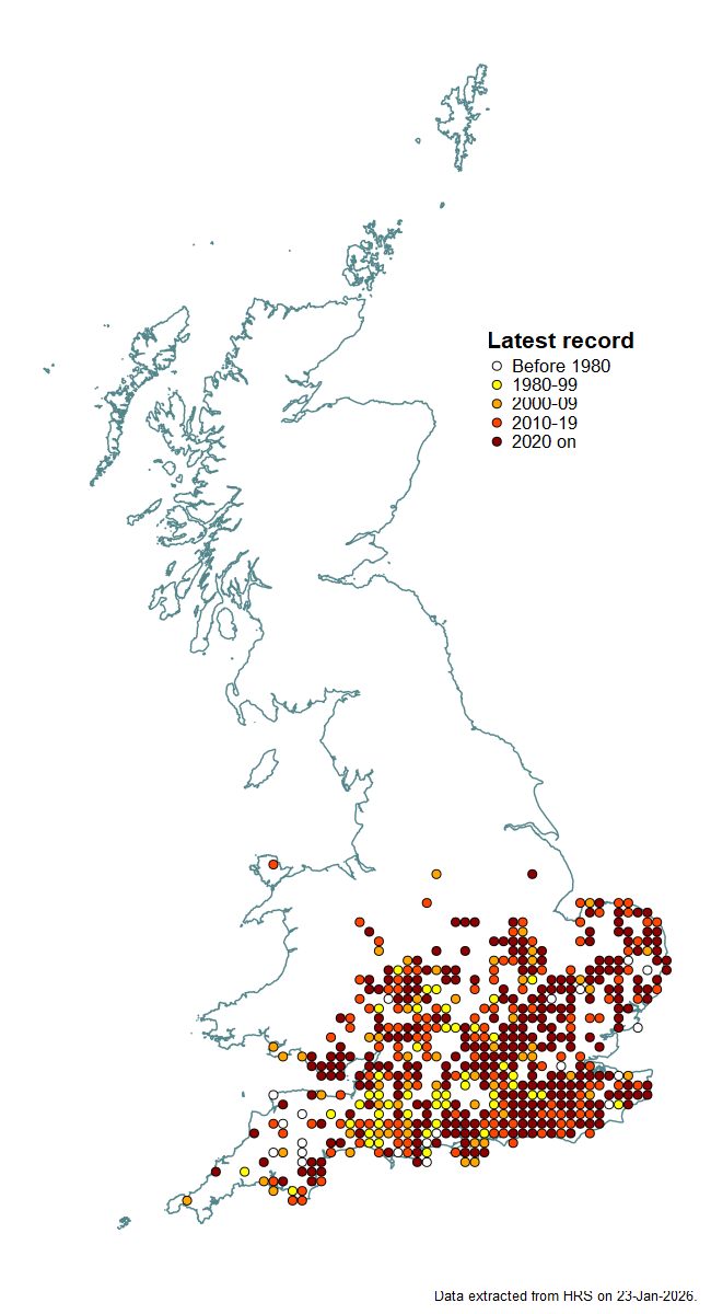 Distribution map for Volucella inflata