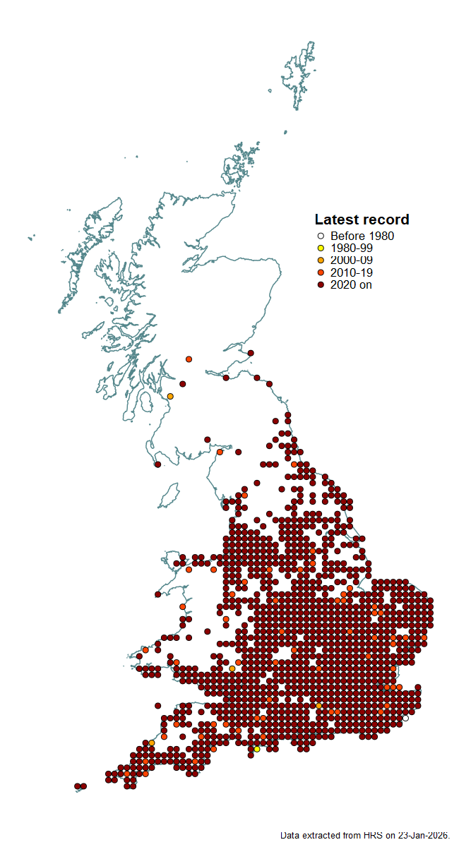Distribution map for Volucella zonaria