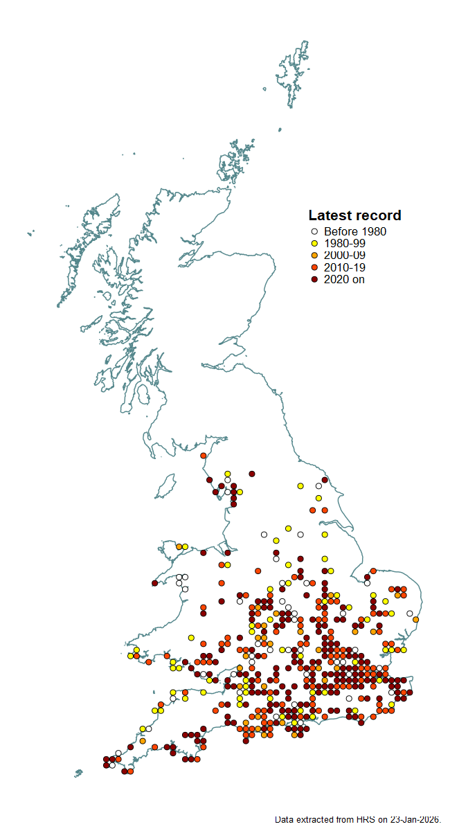 Distribution map for Xanthogramma citrofasciatum