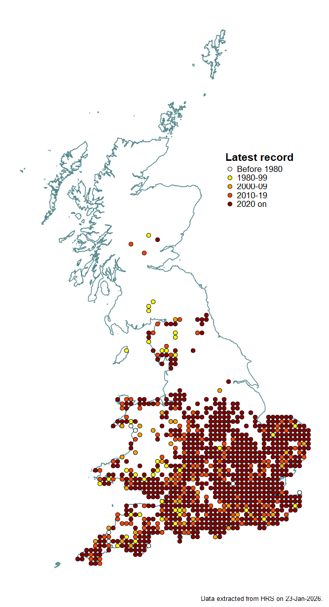 Distribution map for Xanthogramma pedissequum