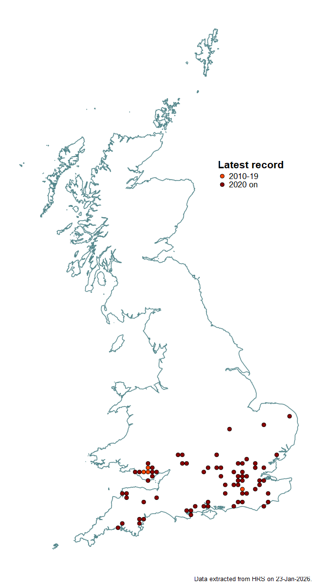 Distribution map for Xanthogramma stackelbergi