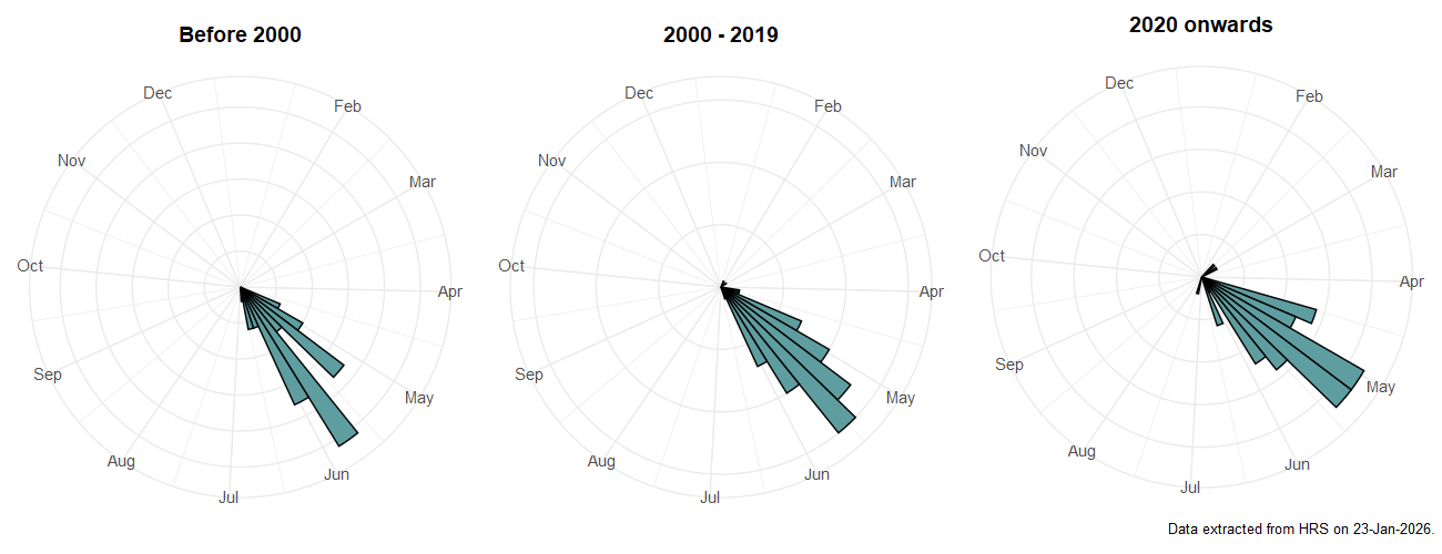 Phenology plots for Brachyopa bicolor