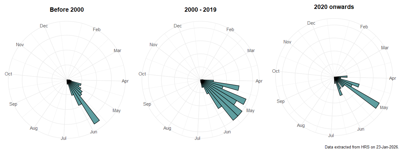 Phenology plots for Brachyopa pilosa